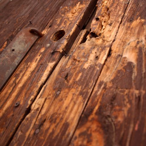 Professional Wood Replacement Services in Shreveport, Louisiana